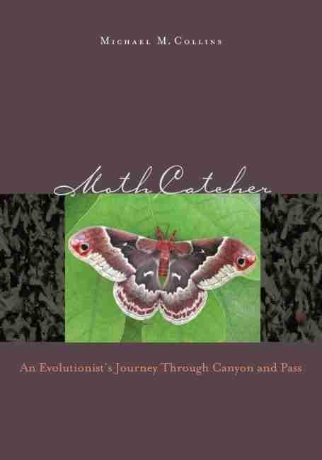 Moth Catcher