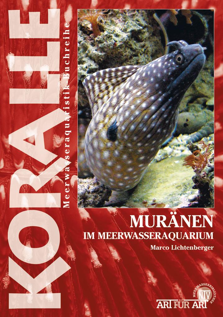 Muränen im Meerwasseraquarium - Marko Lichtenberger