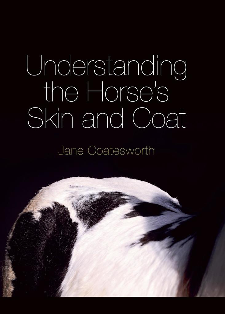Understanding the Horse‘s Skin and Coat