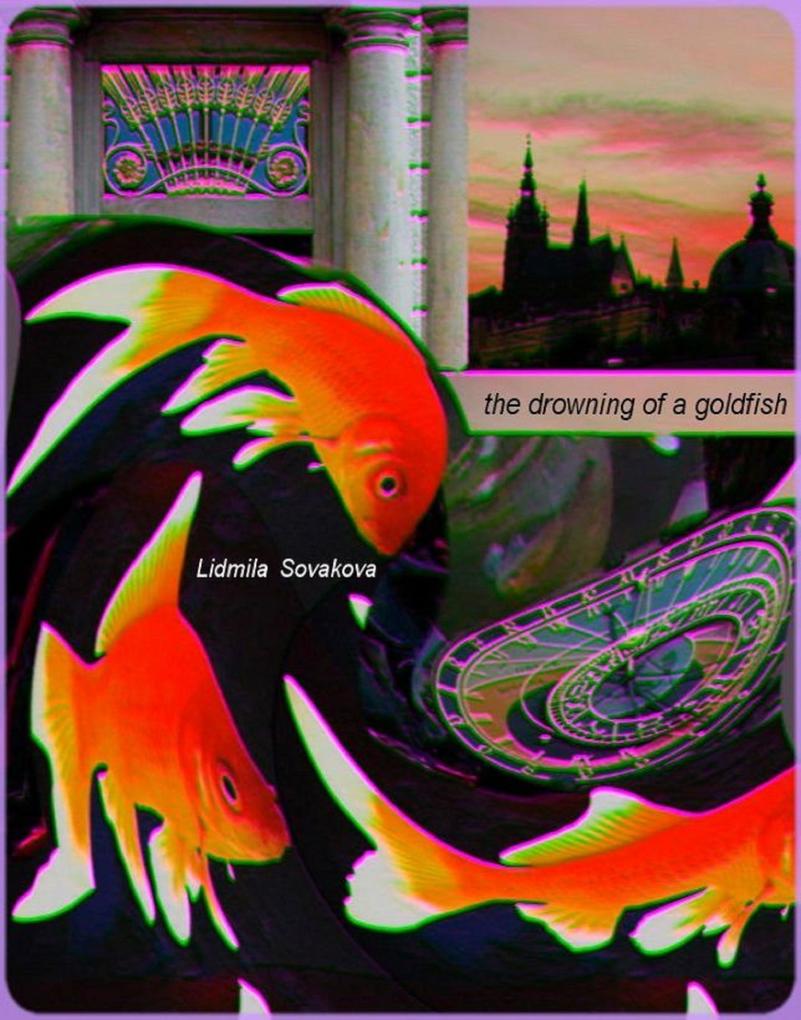 The Drowning of a Goldfish - Redux