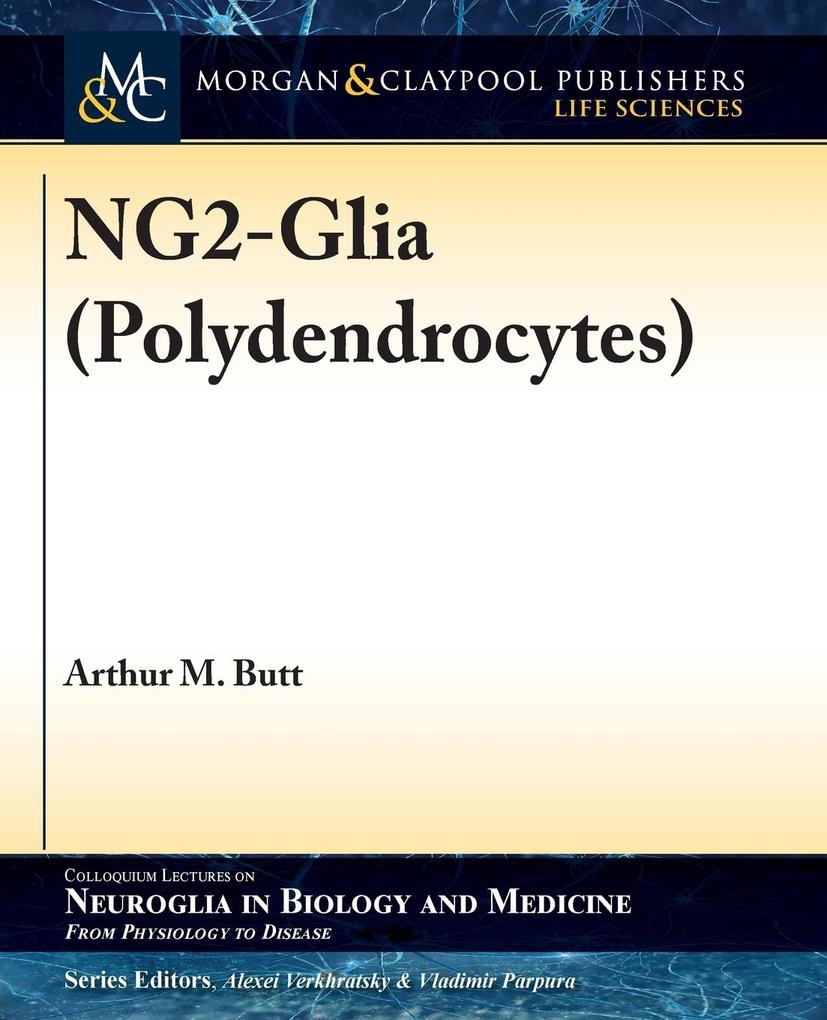 NG2-Glia (Polydendrocytes)