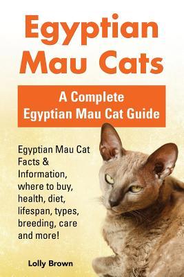 Egyptian Mau Cats: Egyptian Mau Cat Facts & Information where to buy health diet lifespan types breeding care and more! A Complete