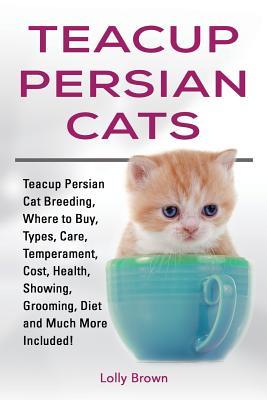 Teacup Persian Cats: Teacup Persian Cat Breeding Where to Buy Types Care Temperament Cost Health Showing Grooming Diet and Much Mo