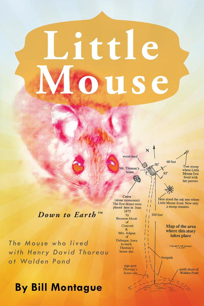 Little Mouse