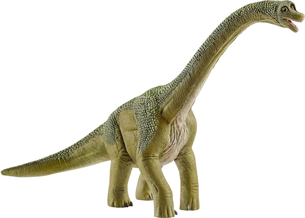 Schleich Brachiosaurus Dinosaur Figurine