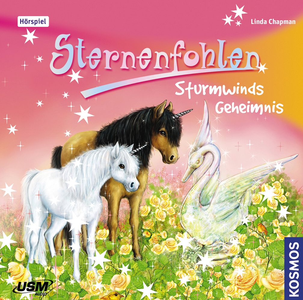 Sternenfohlen 08: Sturmwinds Geheimnis