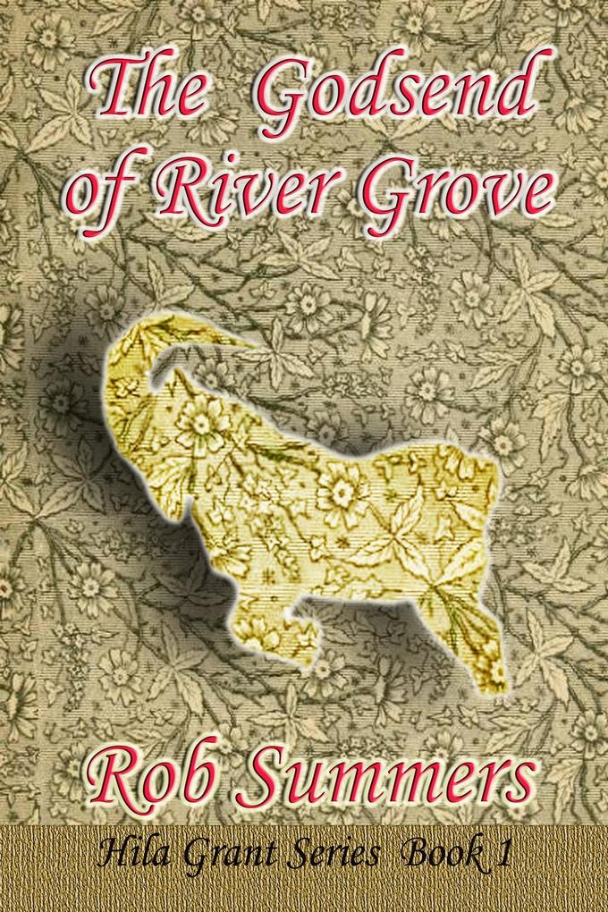 The Godsend of River Grove (Hila Grant #1)