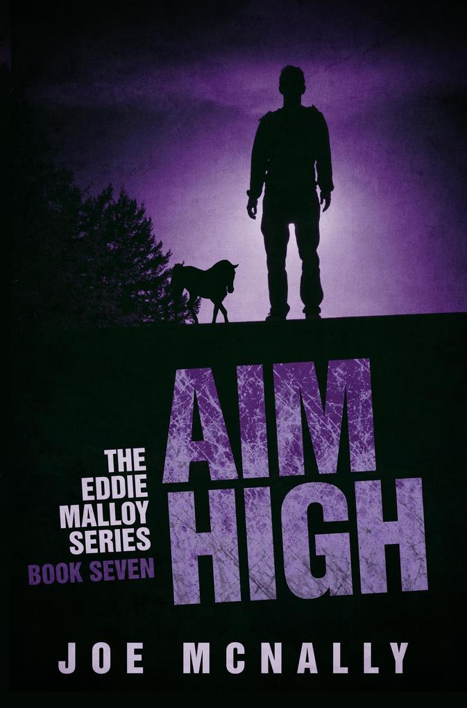 Aim High (The Eddie Malloy series #7)