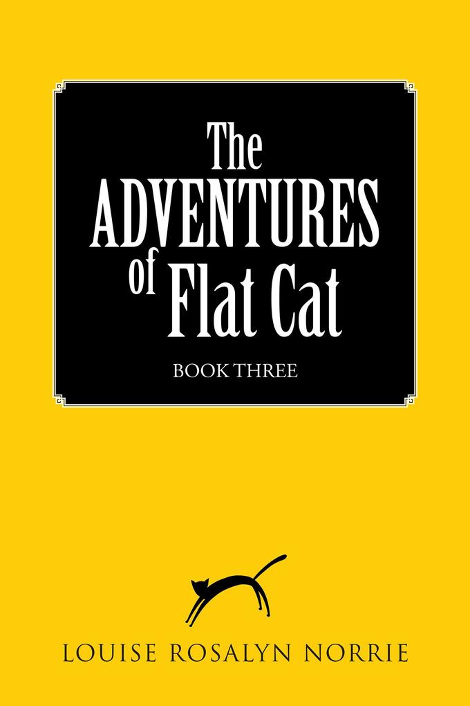 The Adventures of Flat Cat