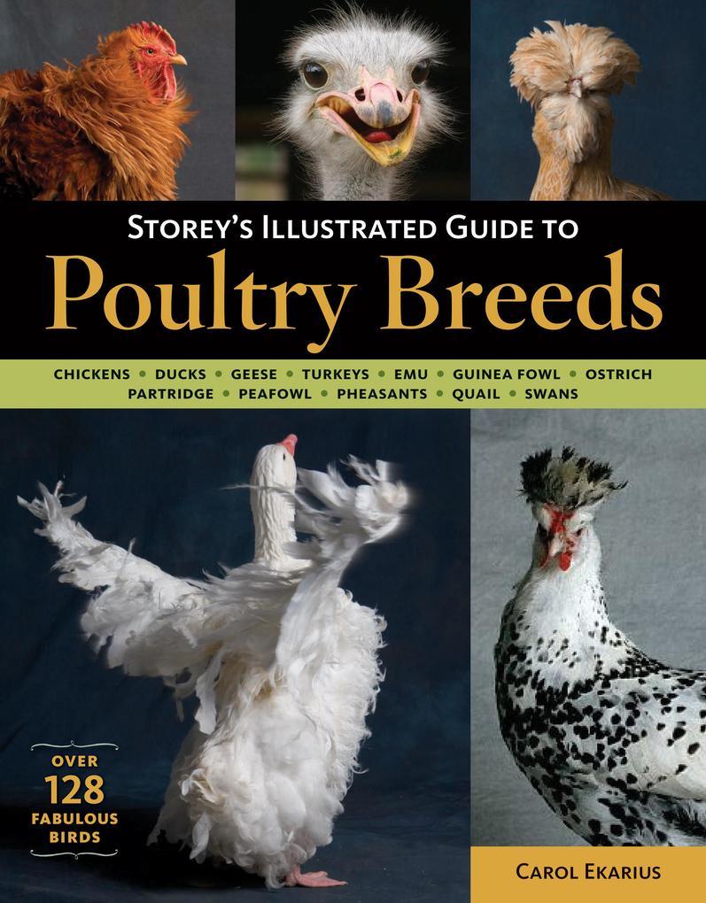 Storey‘s Illustrated Guide to Poultry Breeds