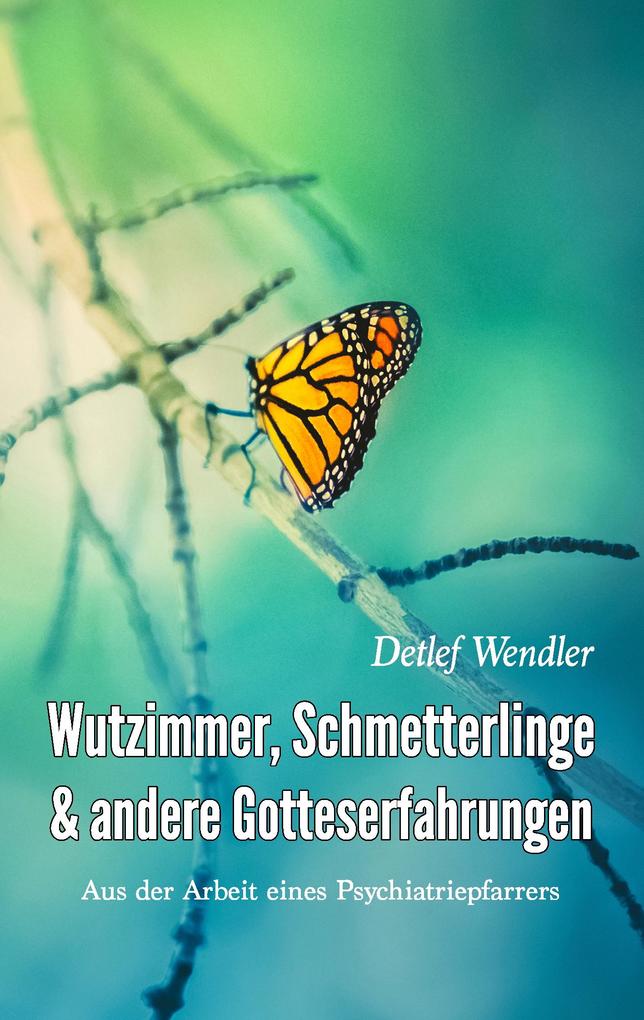 Wutzimmer Schmetterlinge und andere Gotteserfahrungen