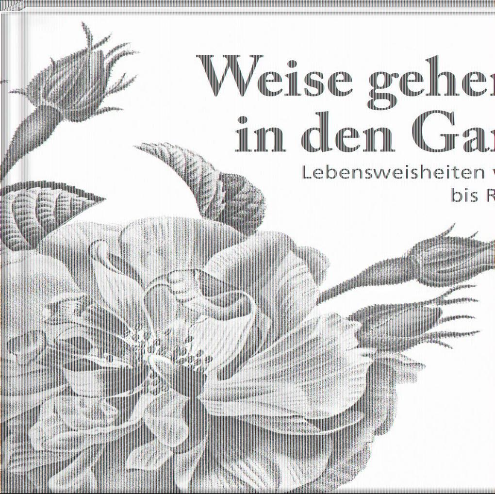 Image of Weise gehen in den Garten