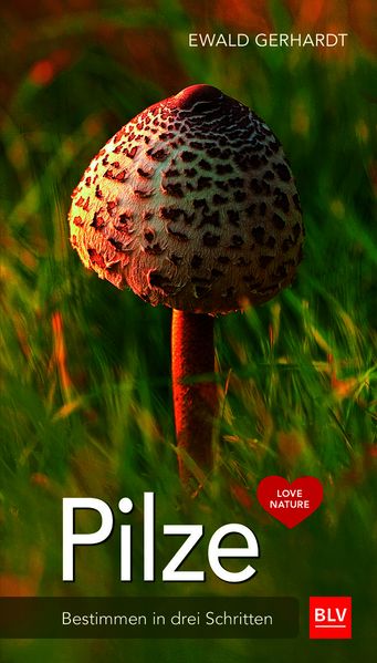 Pilze