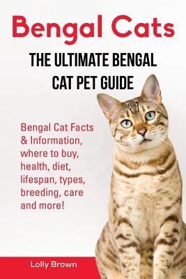 Bengal Cats: Bengal Cat Facts & Information where to buy health diet lifespan types breeding care and more! The Ultimate Ben