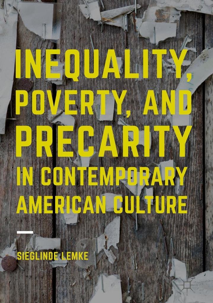 Inequality Poverty and Precarity in Contemporary American Culture