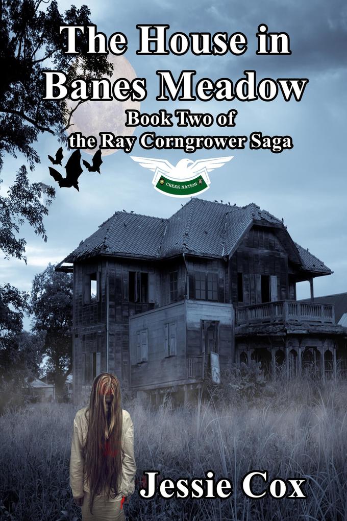 The House In Banes Meadow (Ray Corngrow Saga #2)