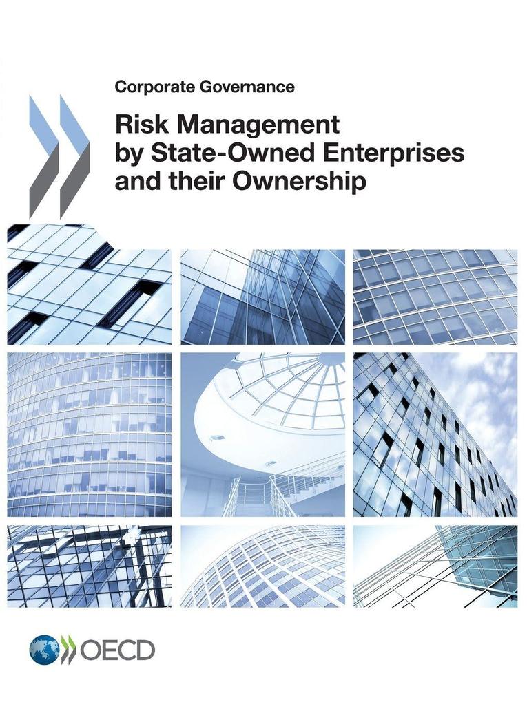 Risk Management by State-Owned Enterprises and their Ownership