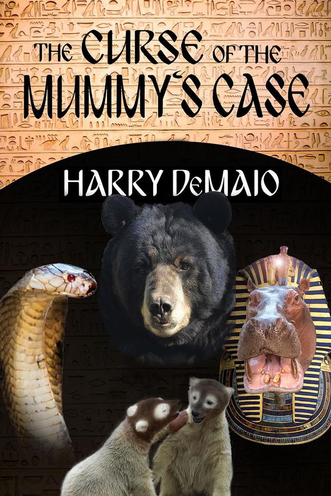 Curse of the Mummy‘s Case