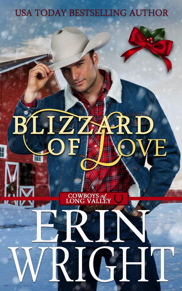 Blizzard of Love: A Christmas Holiday Western Romance (Cowboys of Long Valley Romance #2)