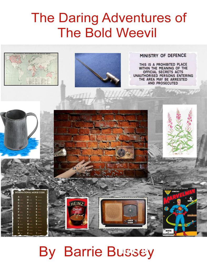The Daring Adventures of the Bold Weevil