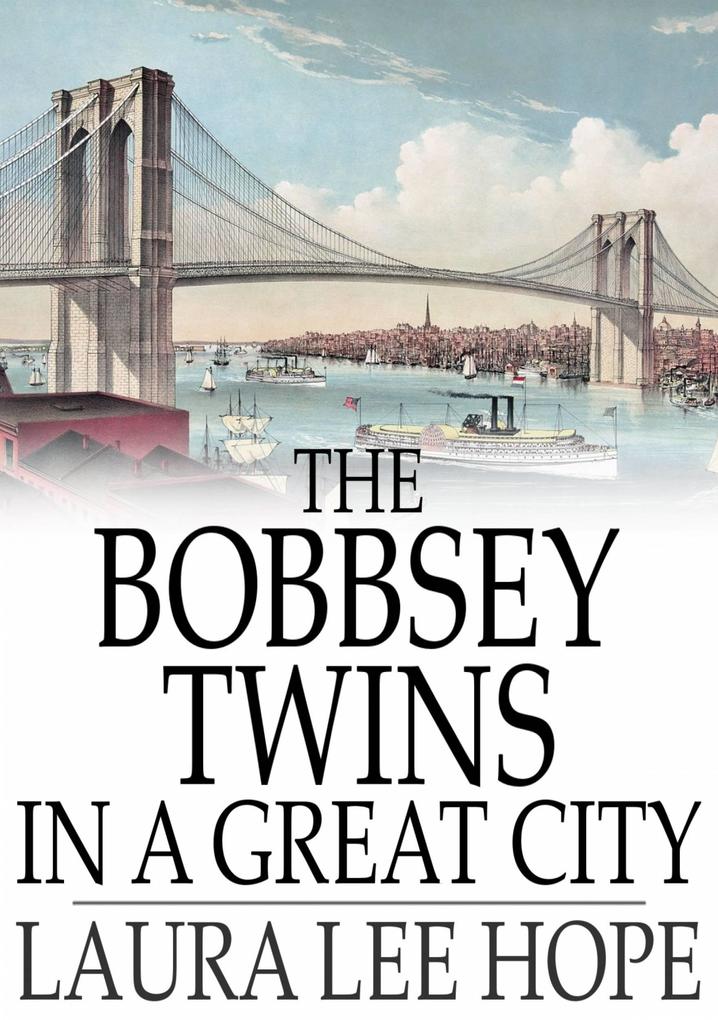 Bobbsey Twins in a Great City