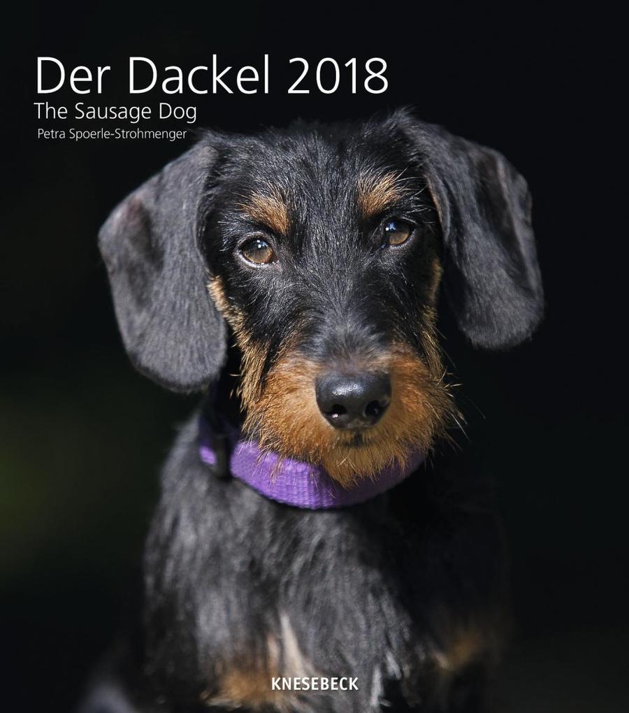 Sausage Dog 30 x 34 Wall Calendar 2018 als Kalender Sausage Dog 30 x 34 Wall Calendar 2018 als Kalender