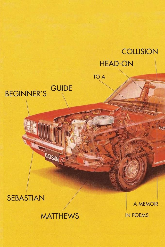 Beginner‘s Guide to a Head-On Collision
