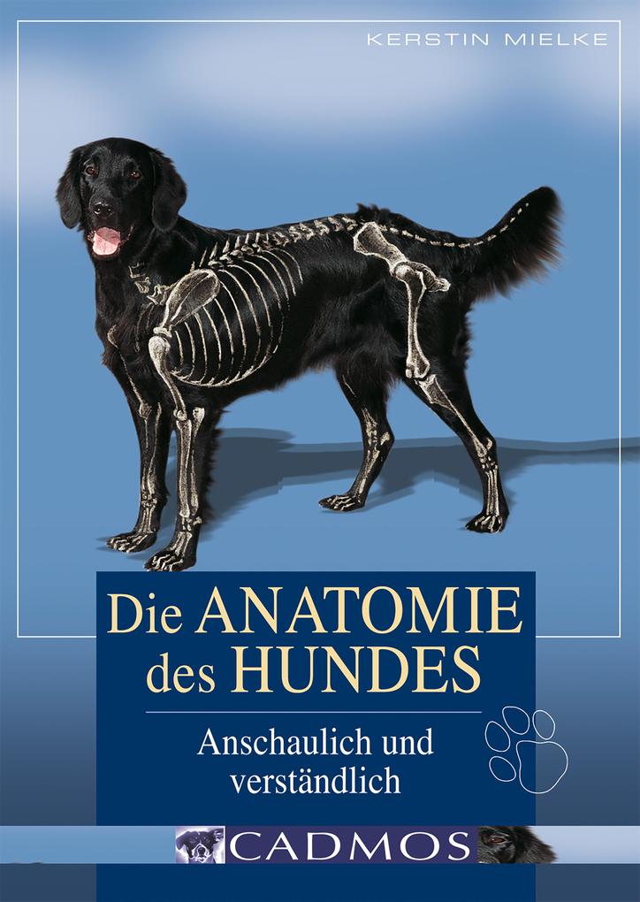 Die Anatomie des Hundes