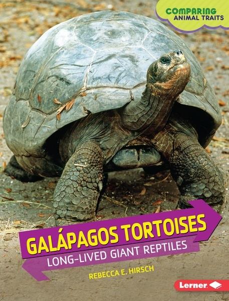 Galapagos Tortoises