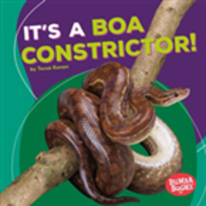 It´s a Boa Constrictor! als eBook Download von Tessa Kenan - Tessa Kenan