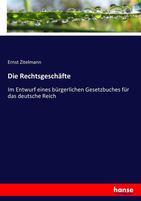 Die Rechtsgeschäfte - Ernst Zitelmann