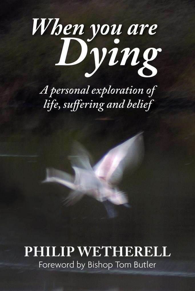 When You Are Dying: A Personal Exploration of Life Suffering and Belief