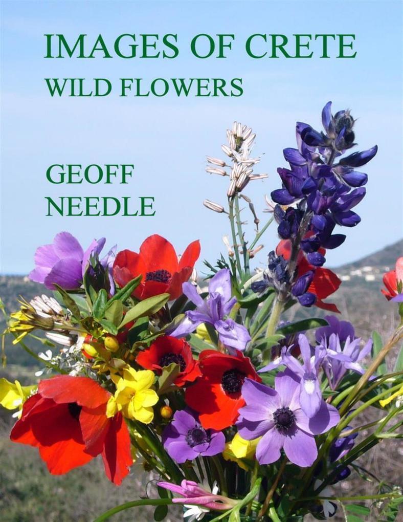 Images of Crete - Wild Flowers