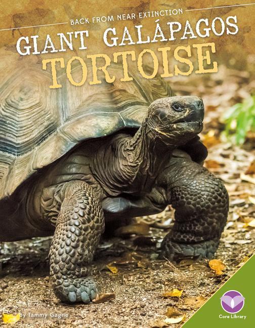 Giant Galàpagos Tortoise