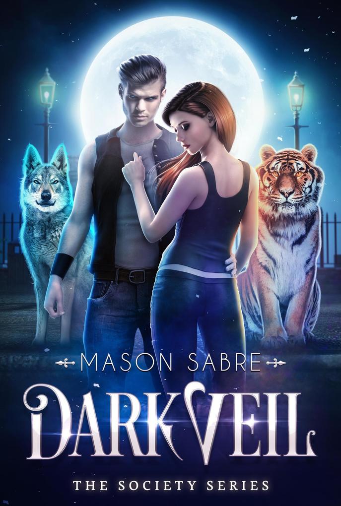Dark Veil (Society)
