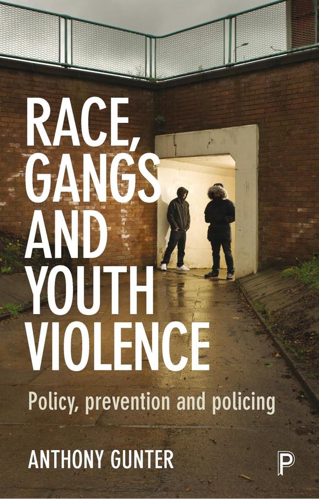 Race Gangs and Youth Violence