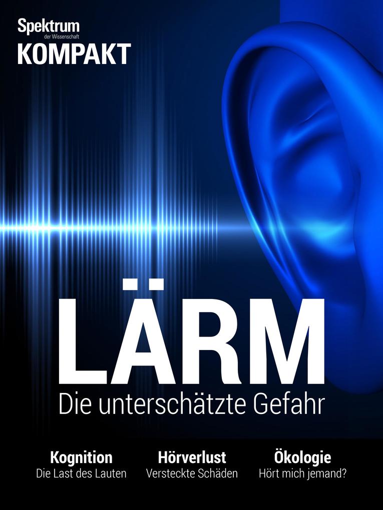 Spektrum Kompakt: Lärm