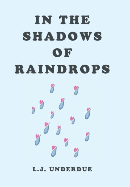 In the Shadows of Raindrops