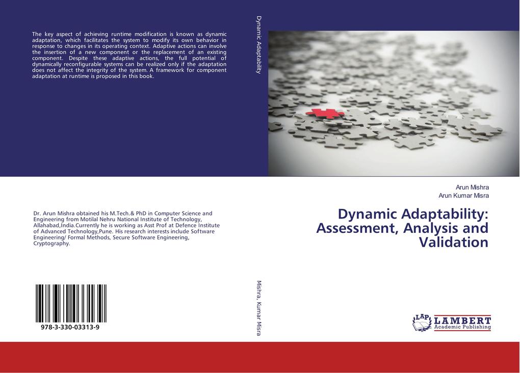 Dynamic Adaptability: Assessment Analysis and Validation