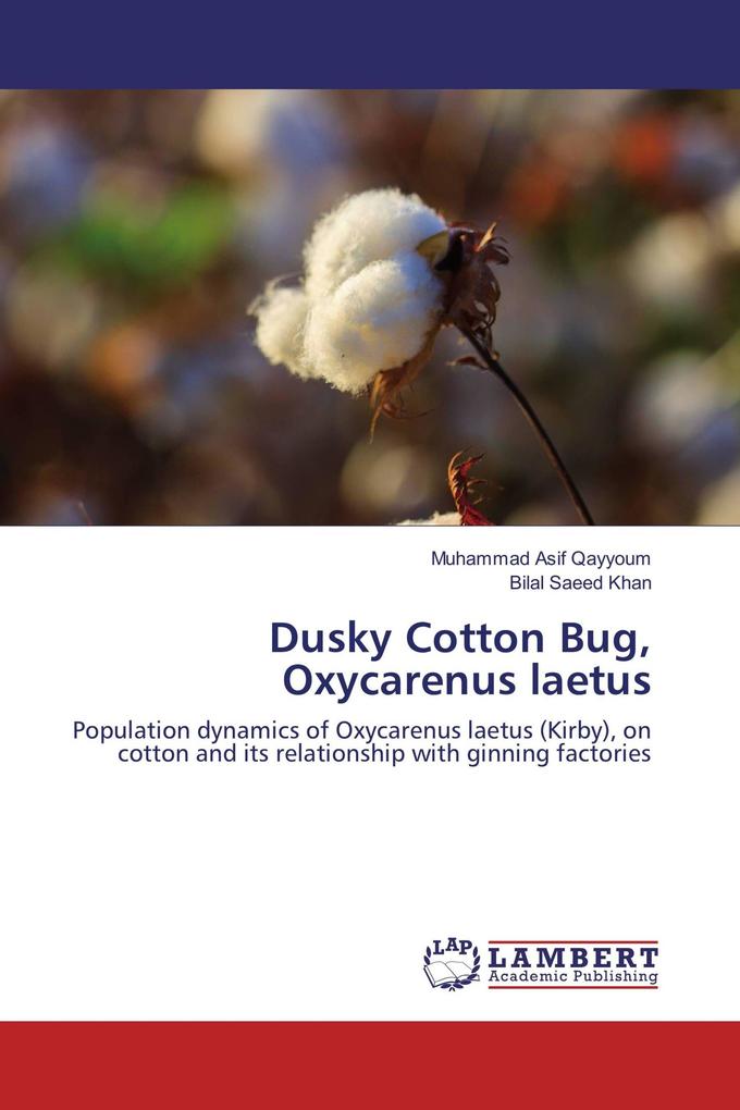 Dusky Cotton Bug Oxycarenus laetus