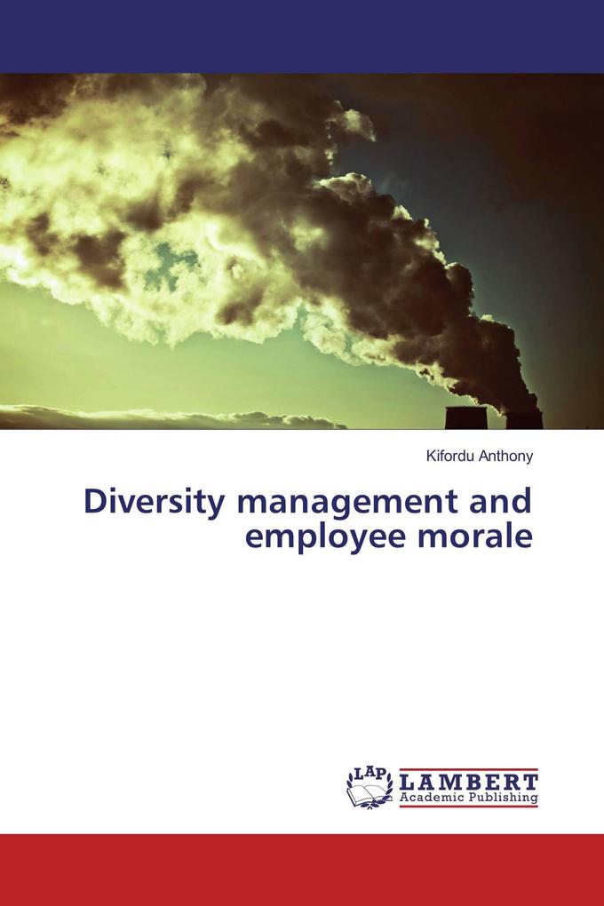 Diversity management and employee morale