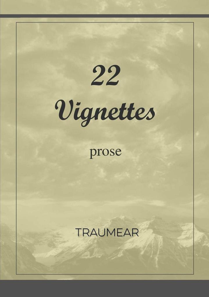 22 Vignettes
