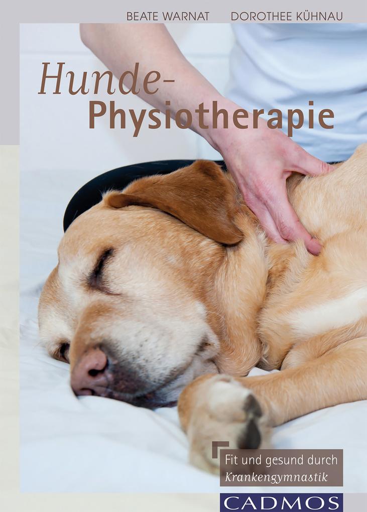 Hunde-Physiotherapie