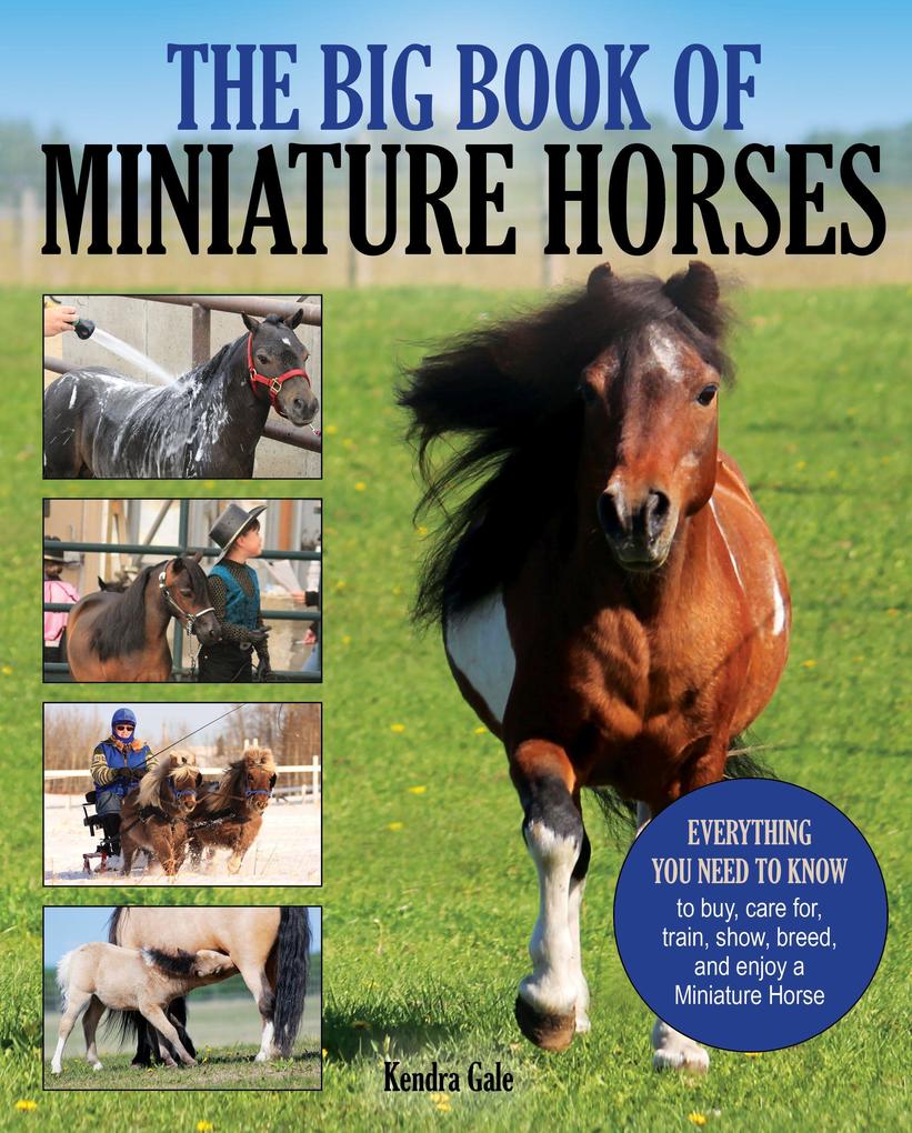 The Big Book of Miniature Horses: Everything You Need to Know to Buy Care For Train Show Breed and Enjoy a Miniature Horse of Your Own