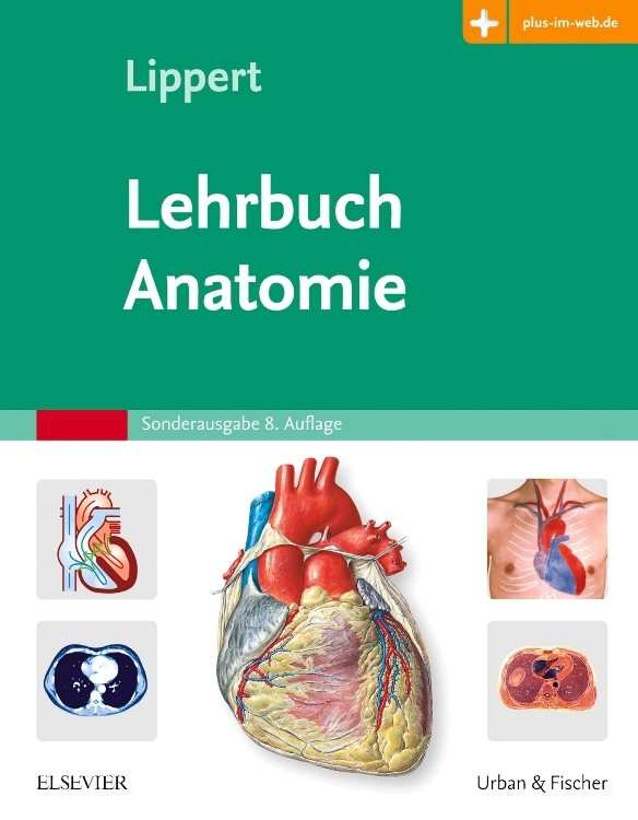 Lehrbuch Anatomie Herbert Lippert - Bild 3