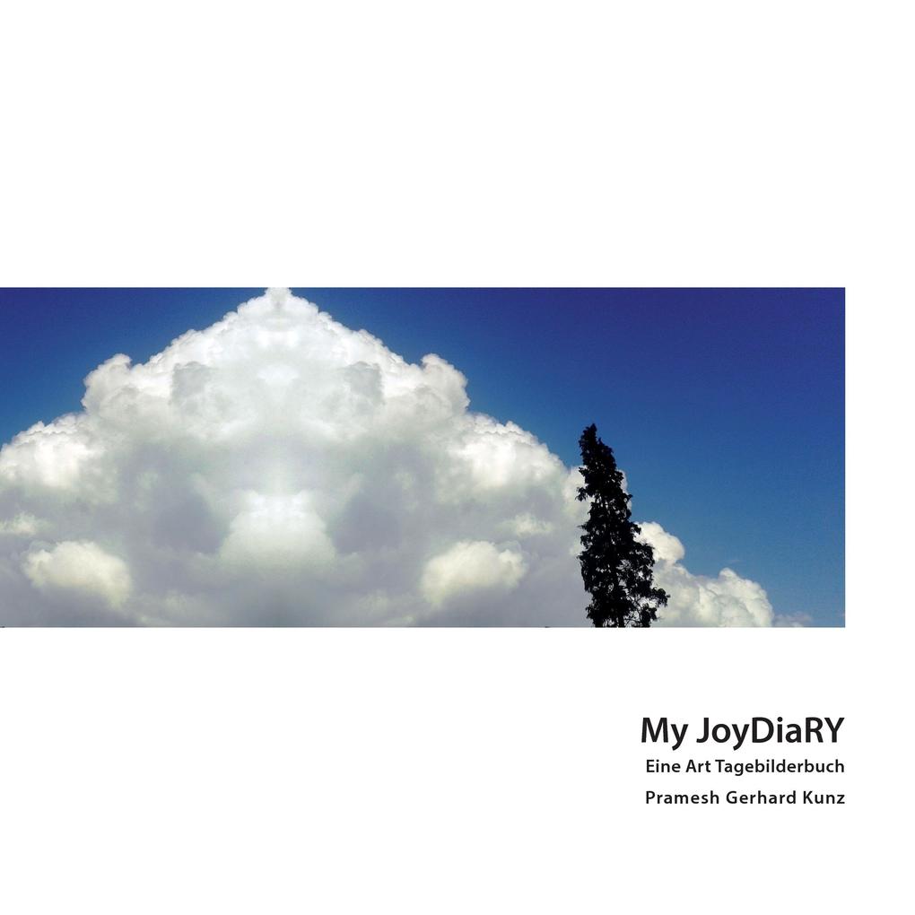 My JoyDiaRY