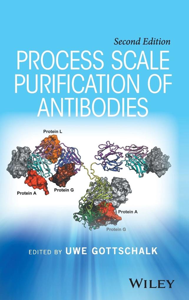 Process Scale Purification of Antibodies