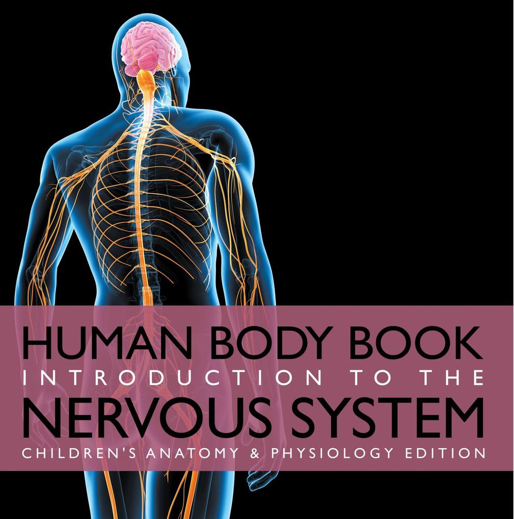 Human Body Book | Introduction to the Nervous System | Children‘s Anatomy & Physiology Edition