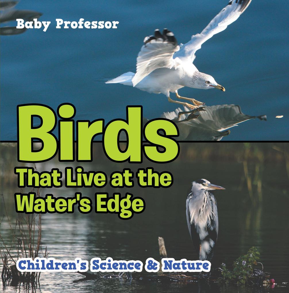 Birds That Live at the Water‘s Edge | Children‘s Science & Nature