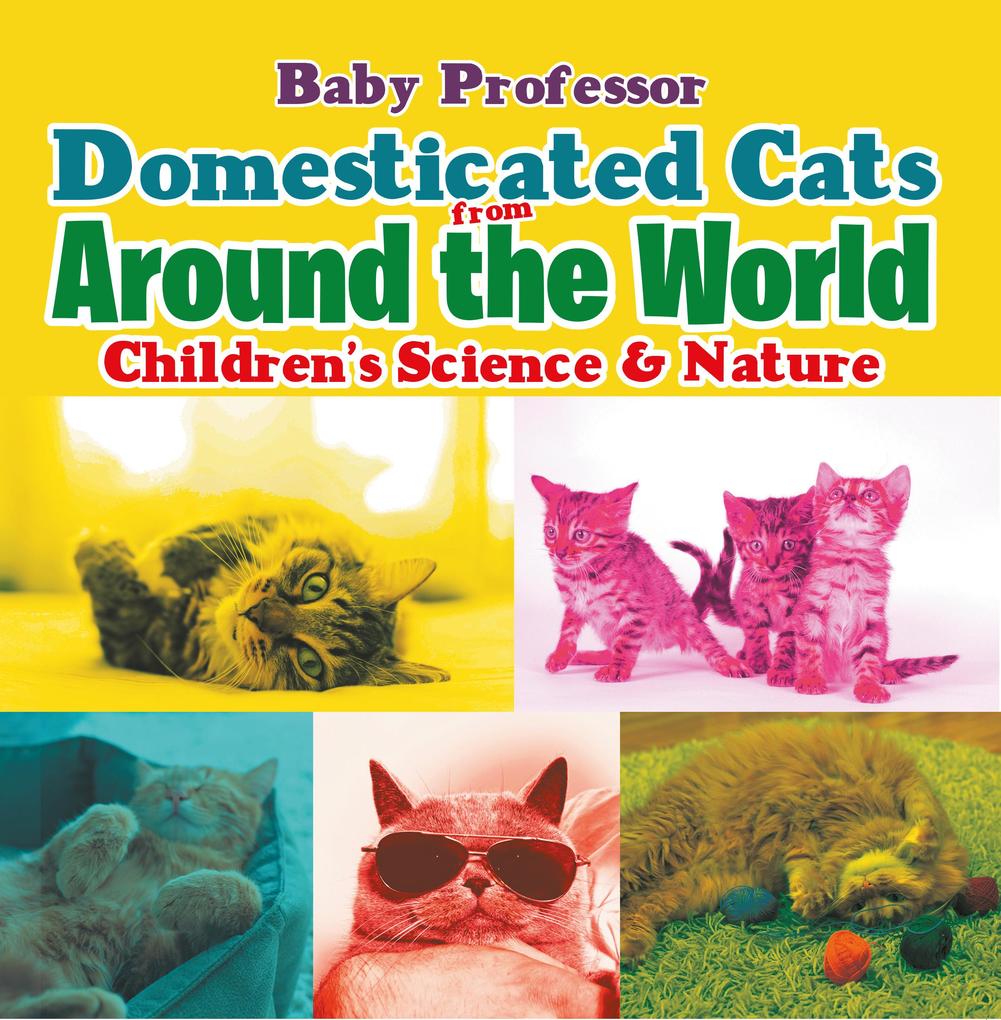 Domesticated Cats from Around the World | Children‘s Science & Nature